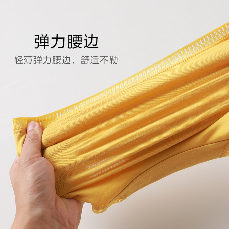  北极绒宏跃点诚内裤