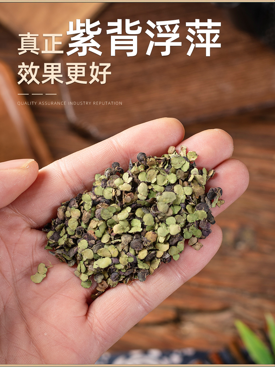 浮萍中药材500克野生浮萍药用紫背浮萍田萍干浮萍洗发浮萍一味药 - 图0