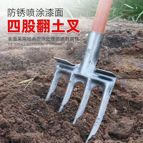 翻地钢叉种地农用工具大全加厚加粗高猛钢洋叉子反翻地神器挖野菜 - 图2
