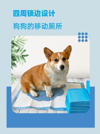 Dog urine pad Teddy puppy absorbs water 100 pieces thickened