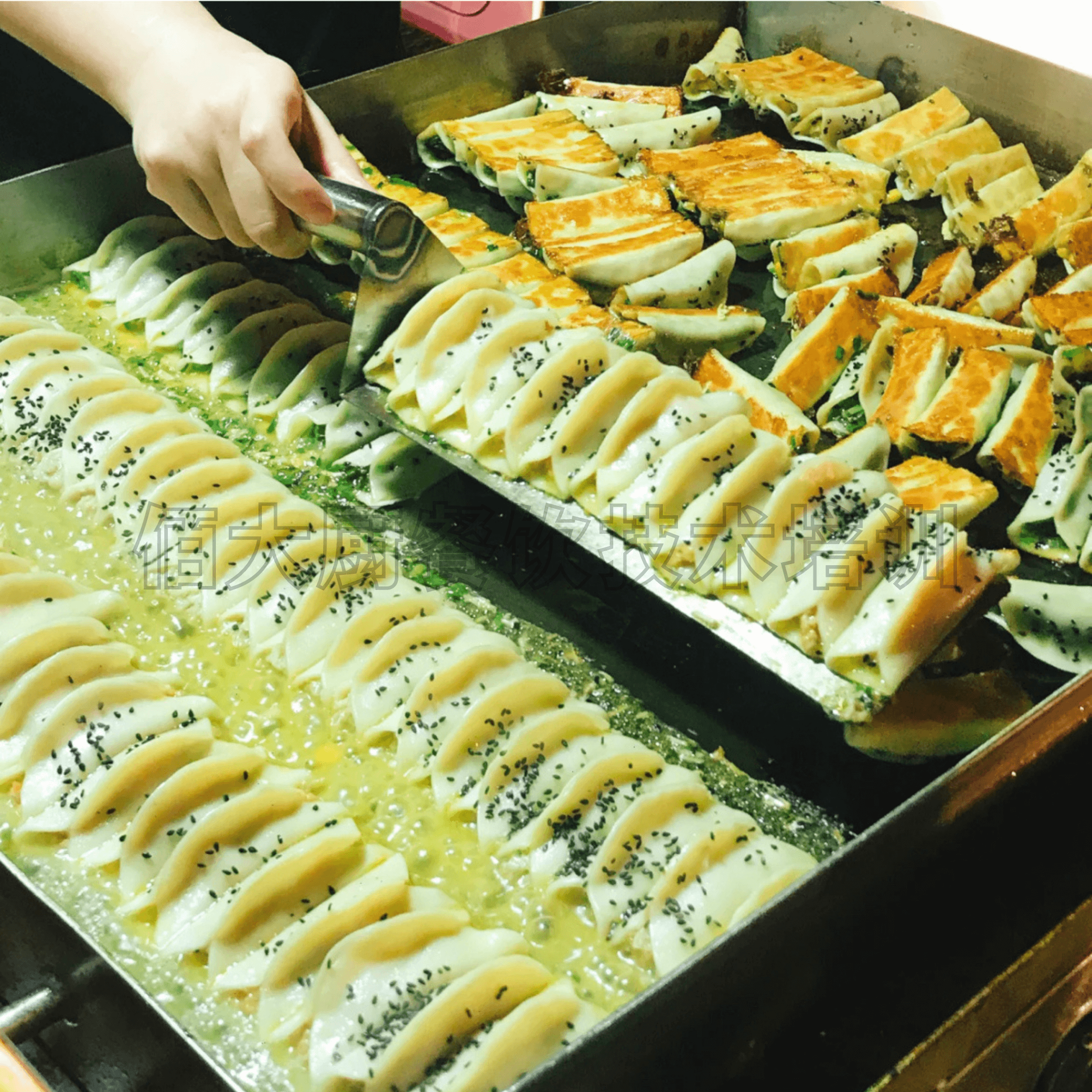 锅贴生煎包煎饺技术配方视频教学做法学习课程商用摆摊开店早餐馅