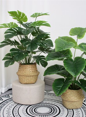 仿真植物红掌假花束客厅室内装饰盆栽摆设塑料绿植假花小盆景摆件