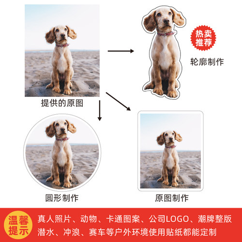 定制贴纸 定做旅行箱笔记本公司LOGO明星动漫骑车滑雪防水贴纸 - 图2