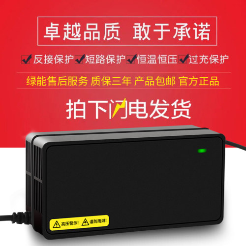 适用绿能原装品质电动车充电器48V12AH60V20AH72V32全新N字头正品 - 图2