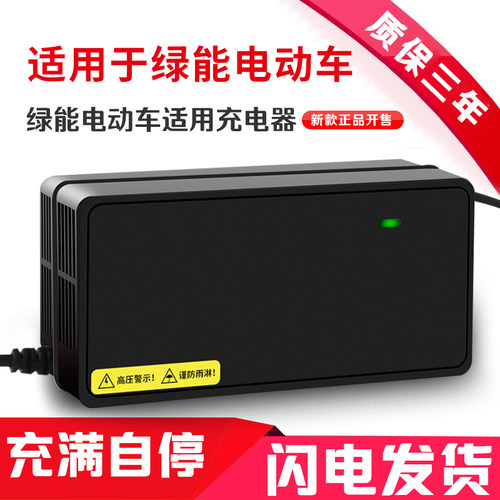 适用绿能原装品质电动车充电器48V12AH60V20AH72V32全新N字头正品 - 图3