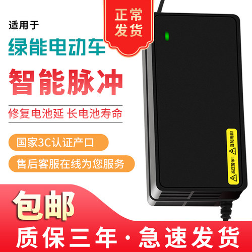 适用绿能原装品质电动车充电器48V12AH60V20AH72V32全新N字头正品 - 图0
