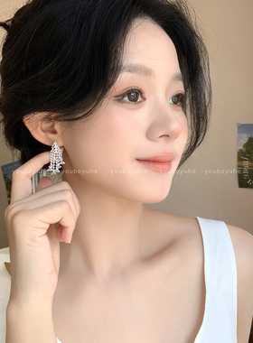 韩系银色烟花锆石流苏耳环耳钉女