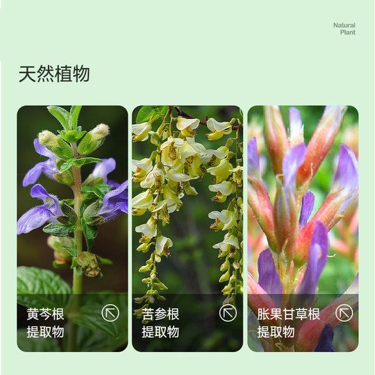 Dear Boyfriend Private Parts Care Solution for Boys