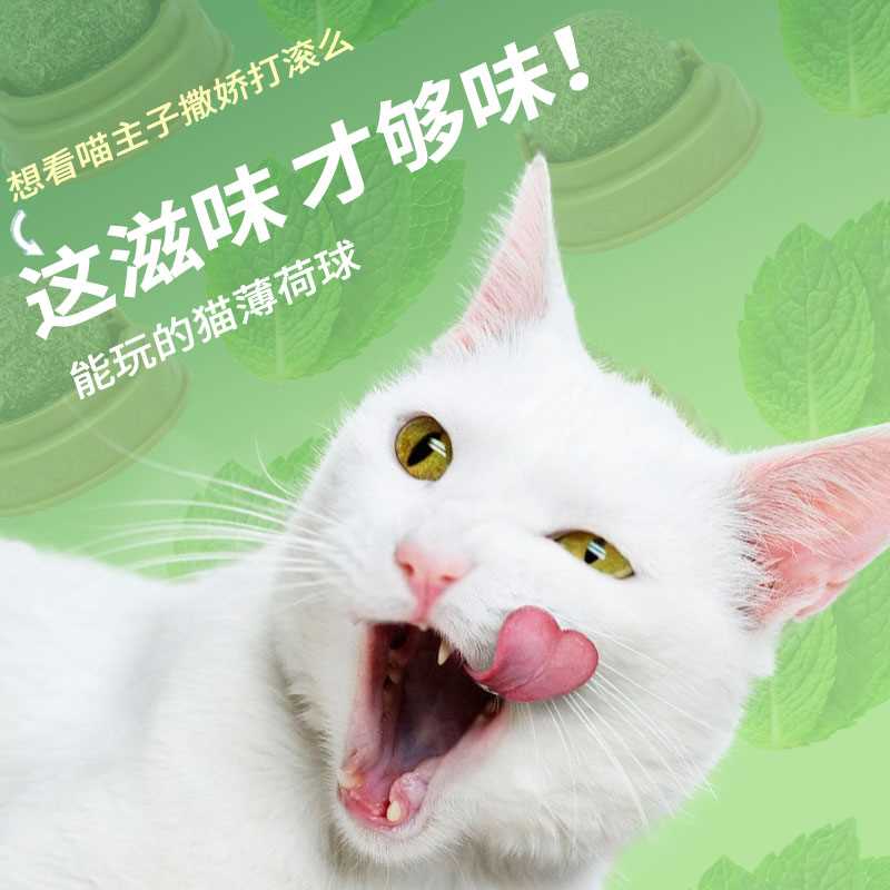 猫薄荷球逗猫棒猫咪用品磨牙逗猫玩具猫球猫草玩具猫薄荷棒棒糖 - 图1