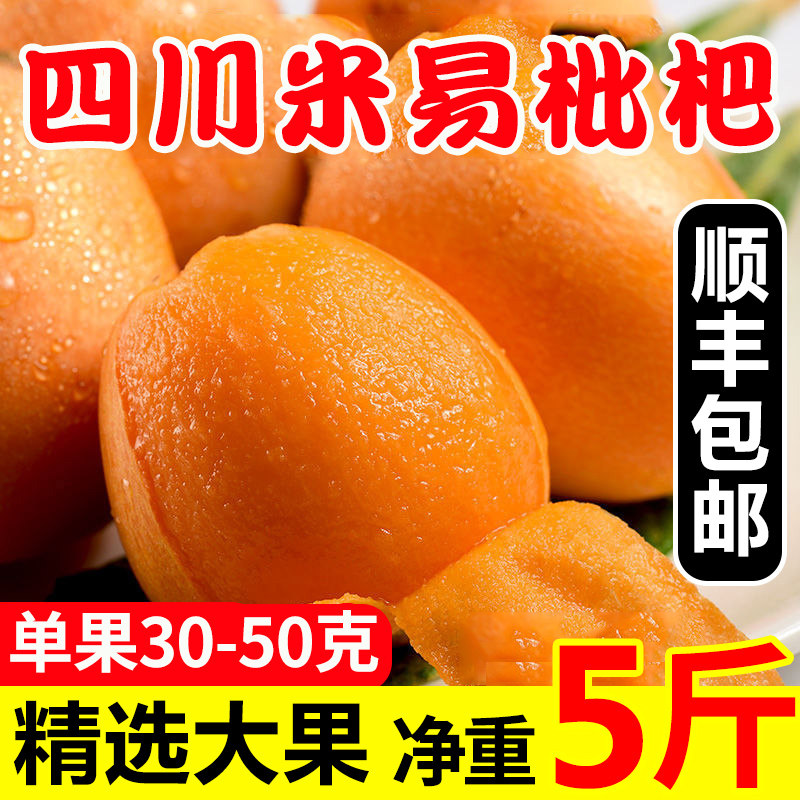 大果顺丰四川米易枇杷新鲜水果整箱当季现摘攀枝花高山甜琵琶5斤