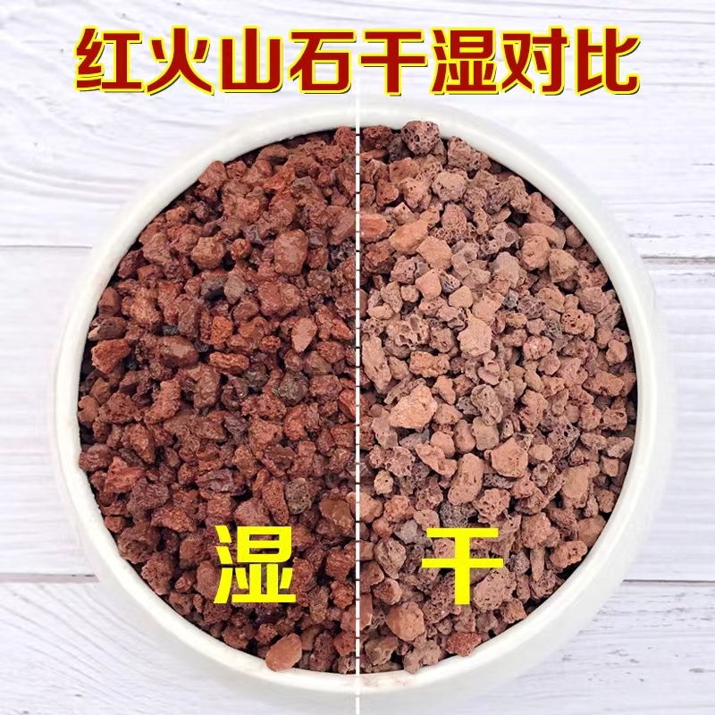 【大叔甄选】红色火山石养花垫底/黄金麦饭石兰花铺面拌土使用-图1