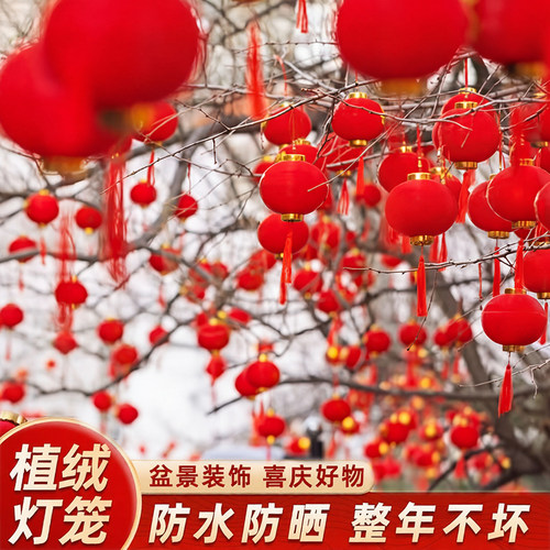 2026年小红灯笼过年庭院植绒红色户外室内灯笼串挂件春节氛围挂饰 - 图1