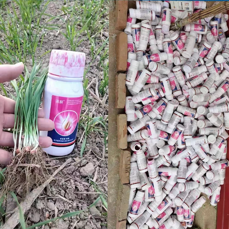 满耕 22%苯醚甲环唑 咯菌腈 噻虫嗪小麦专用拌种剂种子包衣剂农药