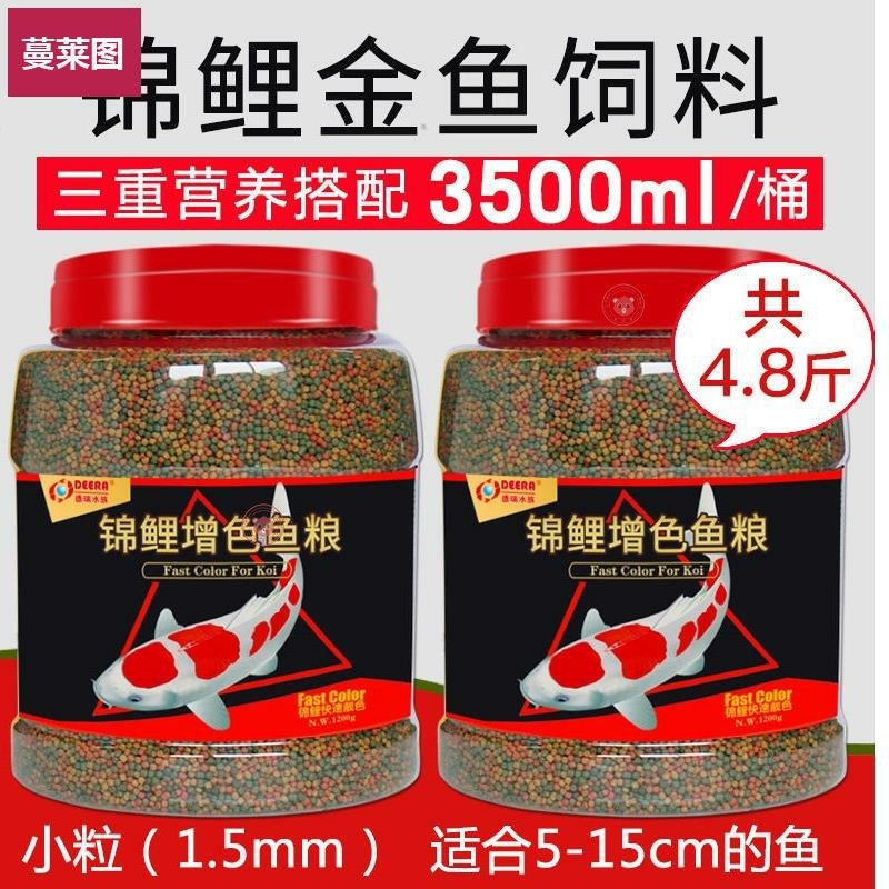 彩色金鱼 新人首单立减十元 21年8月 淘宝海外