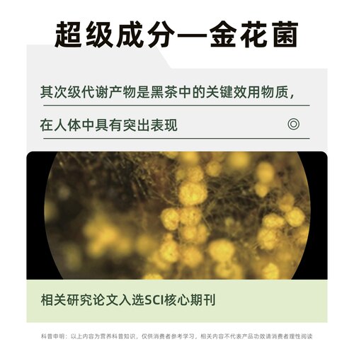 【身材肠道】国奖黑金茶-未来可7高浓缩金花黑茶提取冠突散囊菌 - 图3