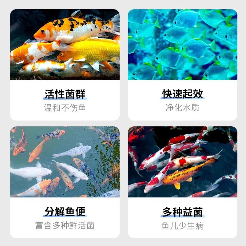 尼特利硝化细菌胶囊水族鱼缸用消化细菌净水剂亚酸硝盐去除稳定剂,淘宝优惠券,粉丝福利购,淘宝优惠卷