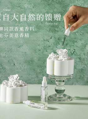 无火香薰精油家用室内石膏香氛摆件持久留香高级感伴手礼定制