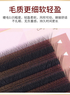L型三叶草睫毛广角微翘不散根