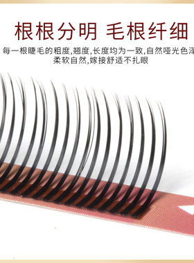 5D仙子毛轻盈柔软轻松夹取不散根