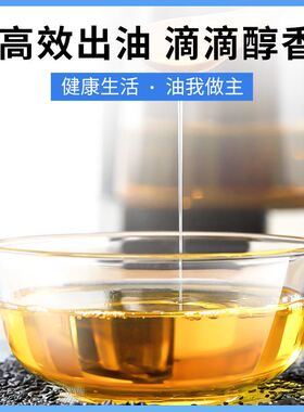 供应自动温控家用小型榨油机一机多用花生食用油多种原料榨油设备