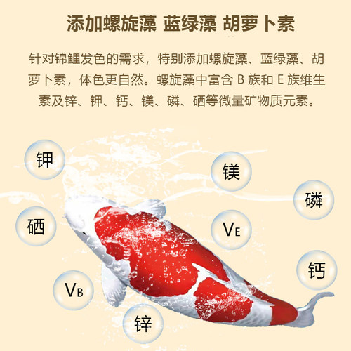 鱼食锦鲤鱼饲料专用育成色扬胚芽螺旋藻不浑水大小颗粒通用金鱼粮 - 图2