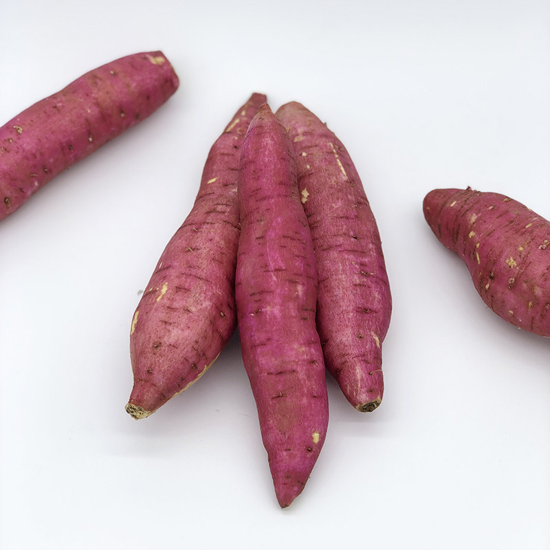 陕西板栗红薯蜜薯新鲜10斤 朝道臻品生鲜番薯