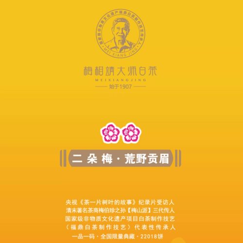 梅相靖大师二朵梅2016年荒野贡眉正宗福鼎老白茶茶叶紧压茶饼300g - 图3