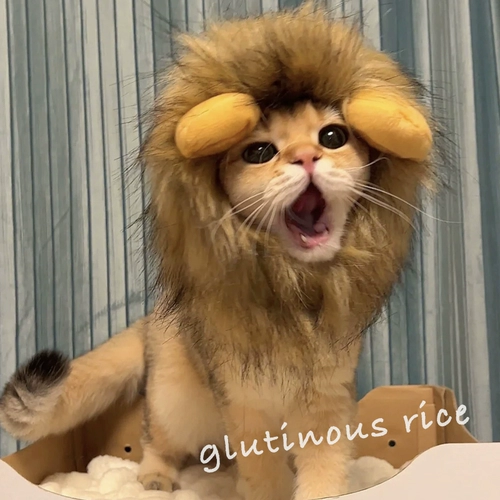 Клейкий рис, шлем, шапка, милый аксессуар для волос