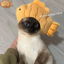 Cats Halloween funny to blame for shooting props Puppy headgear Hood Changing Caps Pet Snapper Burn Cat Hats