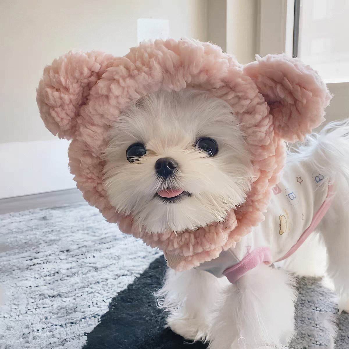 宠物帽子狗狗猫咪头套可爱冬天小型幼犬比熊泰迪马尔济斯保暖头饰,淘宝优惠券,粉丝福利购,淘宝优惠卷