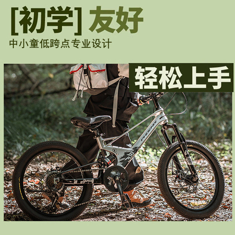  phoenix凤凰林宇儿童自行车
