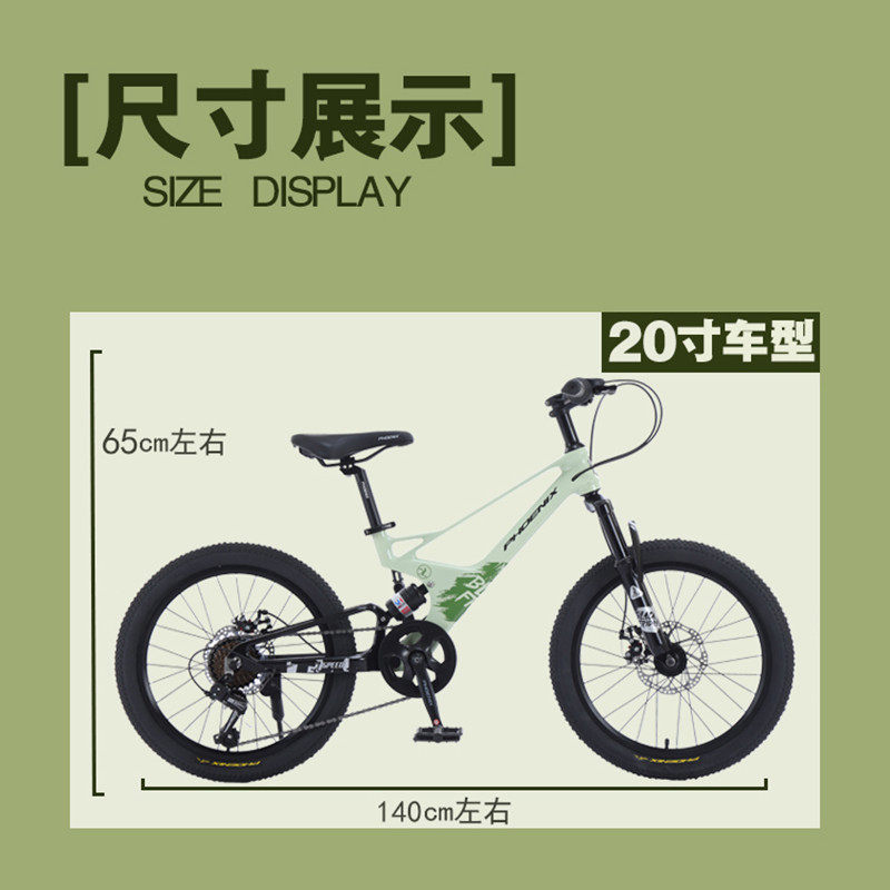  phoenix凤凰林宇儿童自行车
