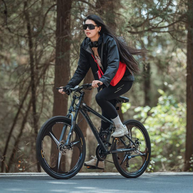 凤凰软尾山地自行车双减震男女式成人学生轻便双碟刹越野变速单车