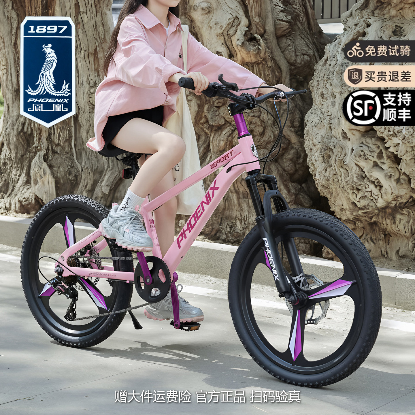 图5