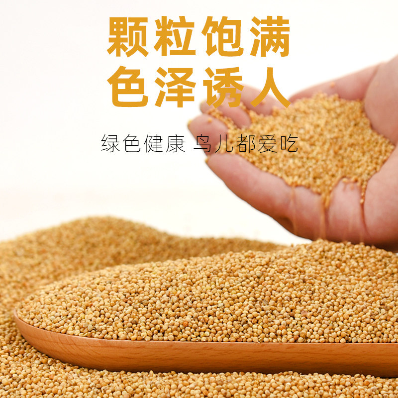 鸟粮新黄谷子带壳小米虎皮玄凤鹦鹉鸟食中小型鹦鹉文鸟饲料5斤,淘宝优惠券,粉丝福利购,淘宝优惠卷
