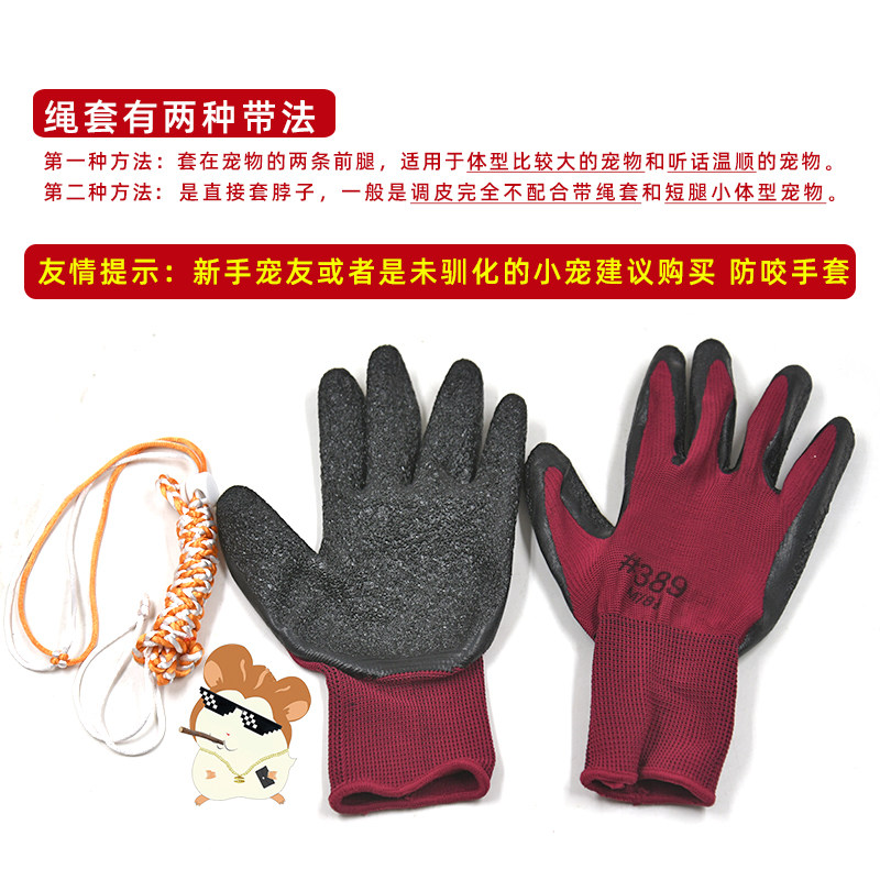 仓鼠牵引绳小宠物用品遛乌龟绳猫咪兔子荷兰猪小鸭子松鼠伸缩绳子,淘宝优惠券,粉丝福利购,淘宝优惠卷