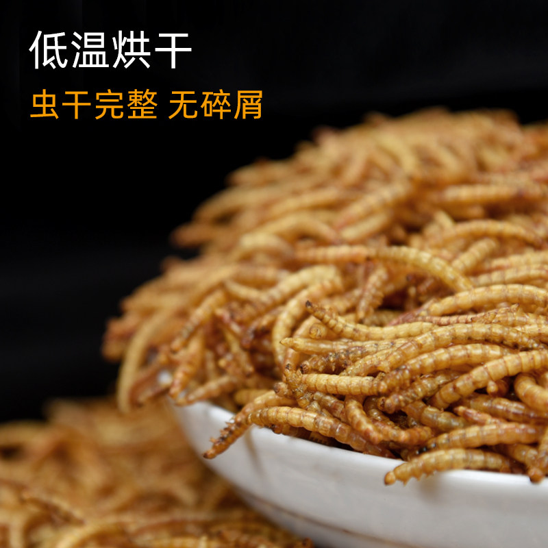 乌龟零食面包虫干黄粉虫巴西龟龟粮鹦鹉仓鼠鱼饲料高营养用品零食,淘宝优惠券,粉丝福利购,淘宝优惠卷