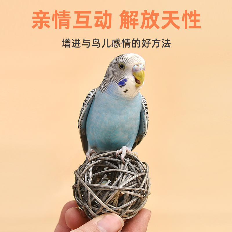 鹦鹉藤球玩具虎皮玄风鹦鹉啃咬玩具训练磨牙互动玩具鸟用品大全,淘宝优惠券,粉丝福利购,淘宝优惠卷