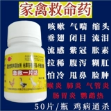 Птица с кусочками, чтобы спасти птицу -птицу, живую курицу, утку, кормление гусиного голубя, грипп, лихорадка, желтый и белый, респираторные тракты