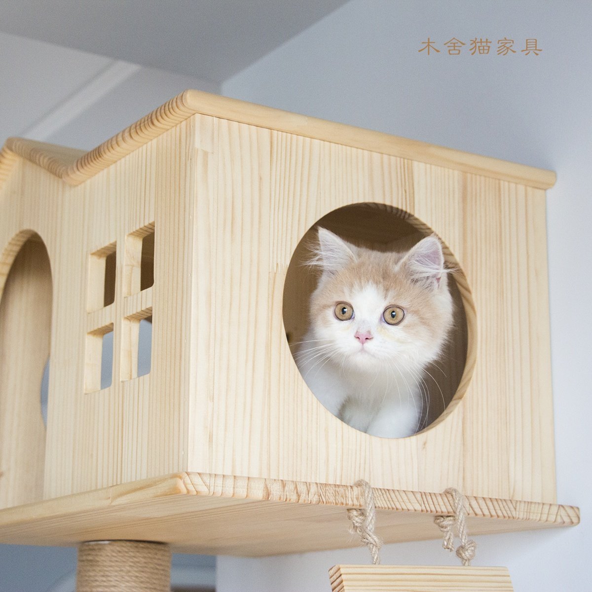 正品木舍实木猫窝墙上壁挂式猫跳台跳板猫窝豪华猫爬架猫舍宠物店