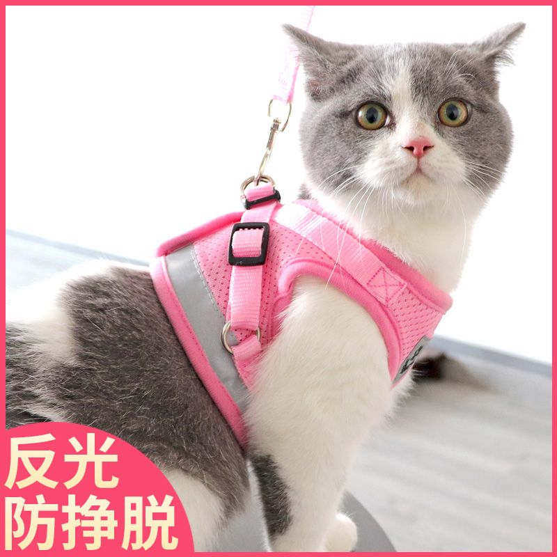 猫咪牵引绳防挣脱背心式小奶猫可调节可爱外出溜猫神器加长遛猫绳 - 图1