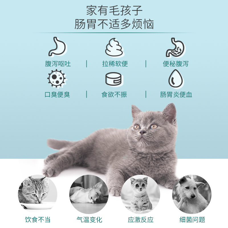 【肠胃救星益生菌套餐】修正杜力德宠物狗猫肠胃不适菌群失调