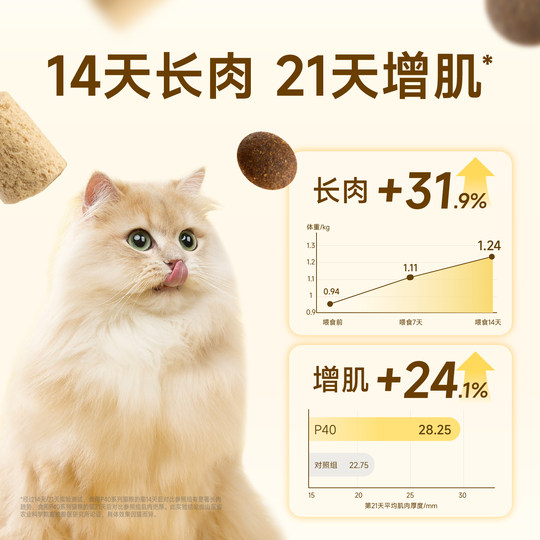 Honest official flagship store P40 series cat food