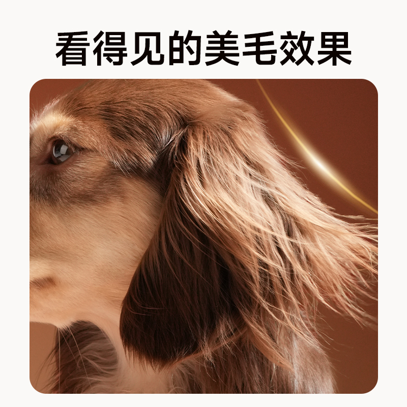 诚实一口BN01全阶段全价鲜肉烘焙犬粮高蛋白通用型狗粮 - 图1