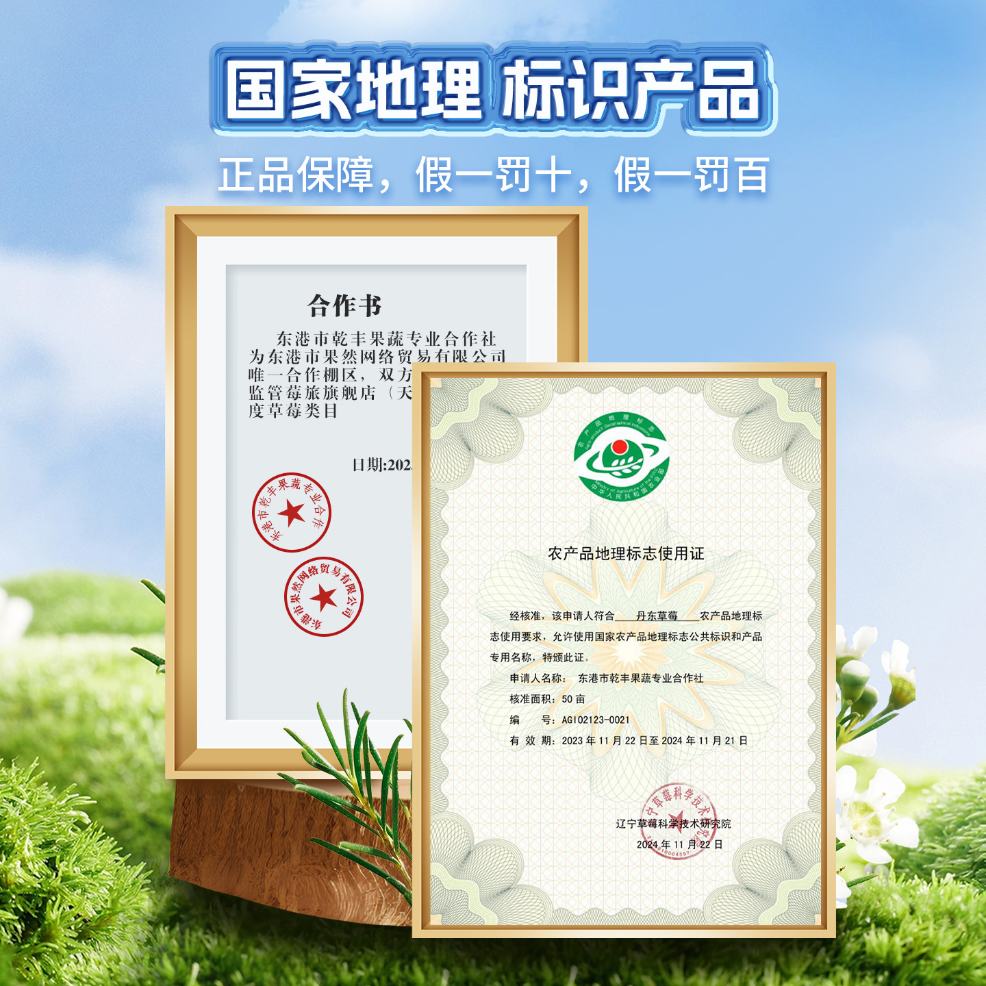 丹东草莓新鲜水果应季红颜99草莓3九九牛奶奶油大甜草莓5久久礼盒