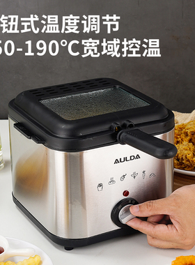 多功能小型炸薯条1000瓦新款鸡翅