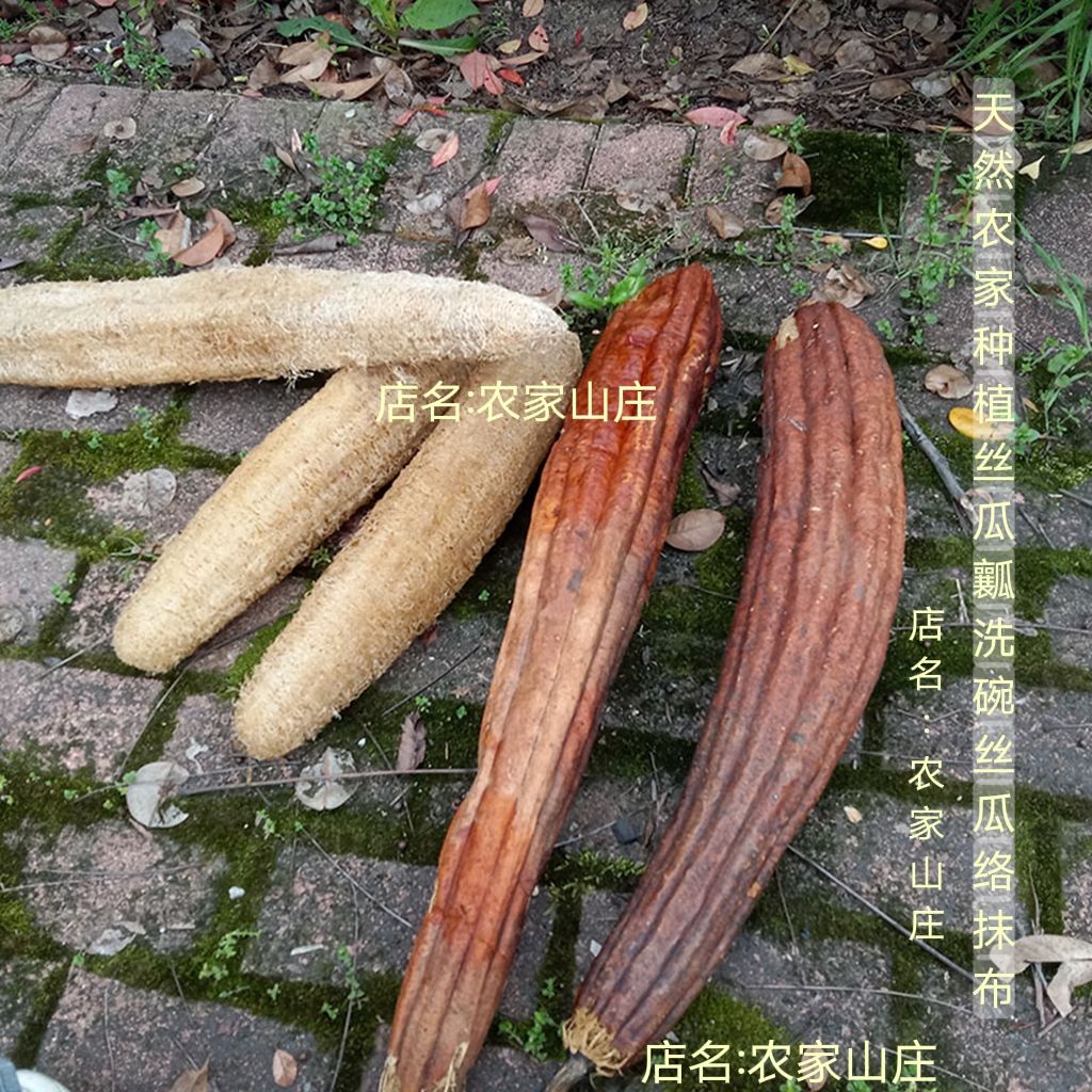 抹布丝瓜瓤洗碗丝瓜络厨房用品大全居家日用百货生活好物g - 图2