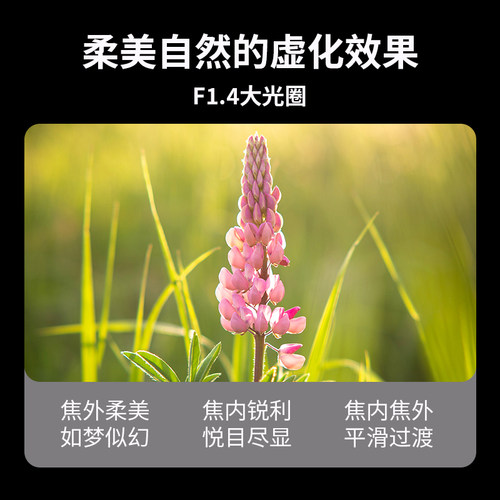 森养SAMYANG三阳AF85mm F1.4全画幅人像大光圈定焦单反镜头佳能EF - 图2