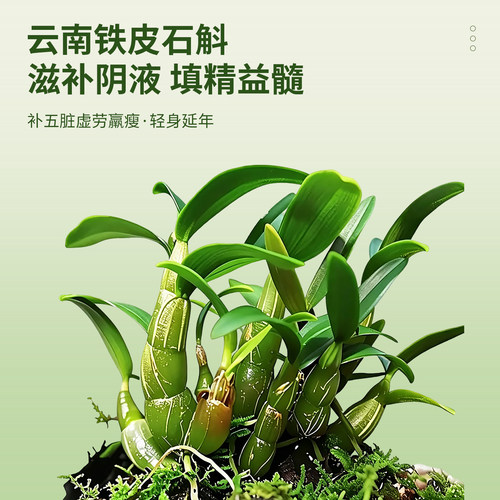 华农原实灵芝石斛牛奶200ml盒装营养早餐奶补钙健康奶 - 图3