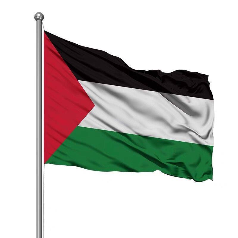 巴勒斯坦国旗世界各国手摇红旗旗帜旗子定制大号 - 图1